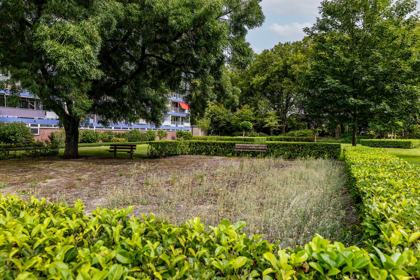 Foto 40 van Frederik van Eedenplaats 63