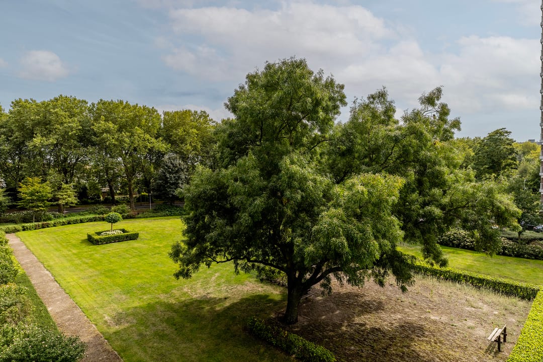 Foto 38 van Frederik van Eedenplaats 63