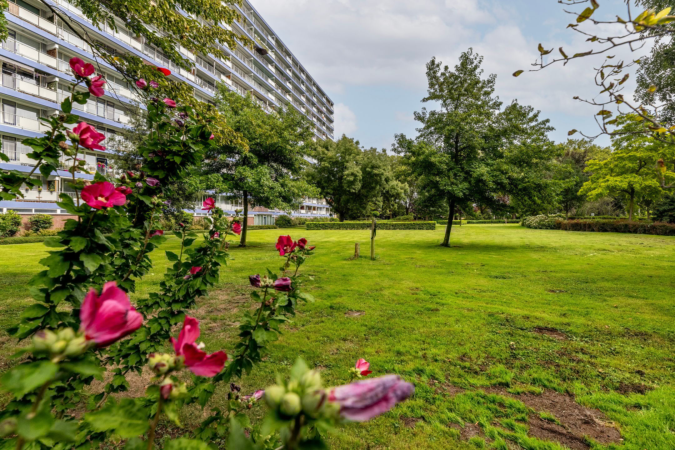 Foto 39 van Frederik van Eedenplaats 63