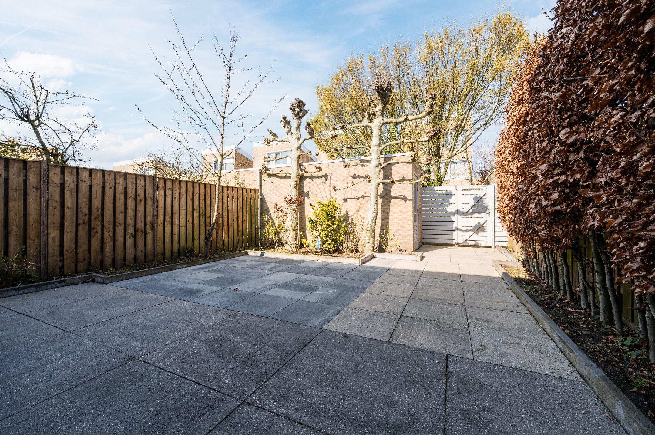 Foto 21 van Grasplantsoen 49