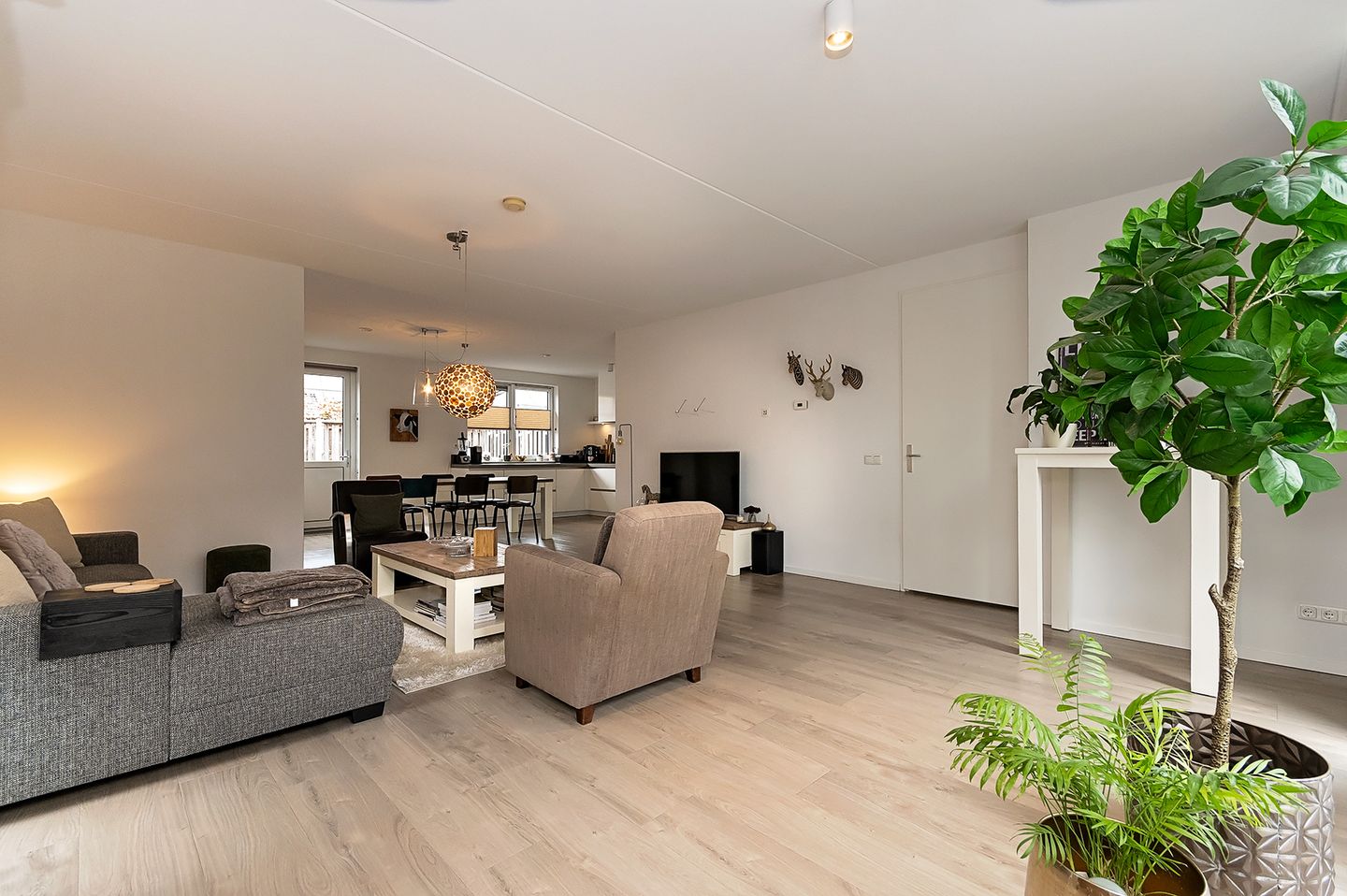 Photo 5 of Broeksingel 22