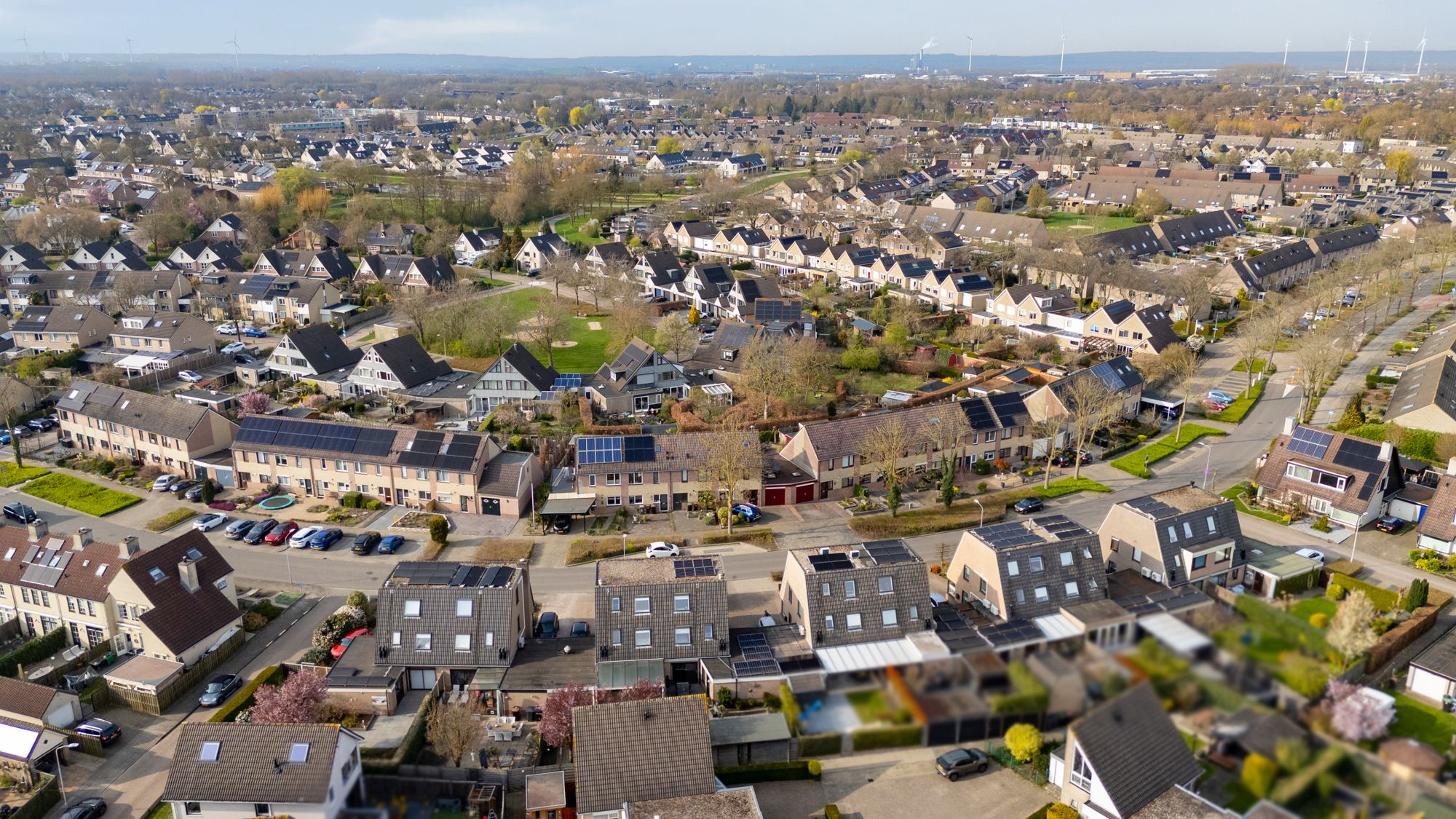 Photo 72 of Bellefleur 93