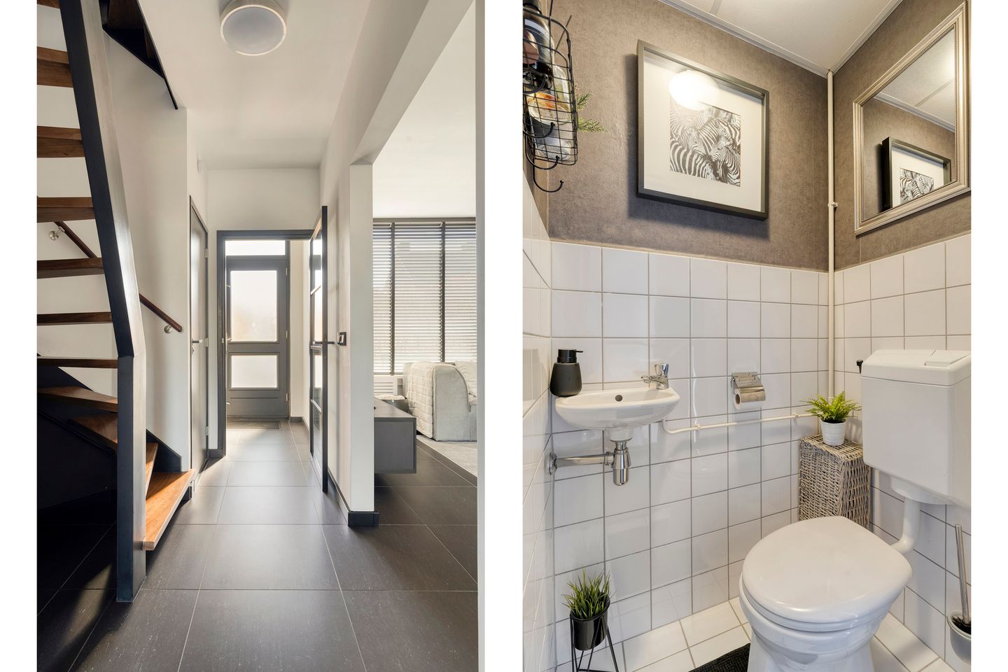 Photo 10 of Kruipbrem 54