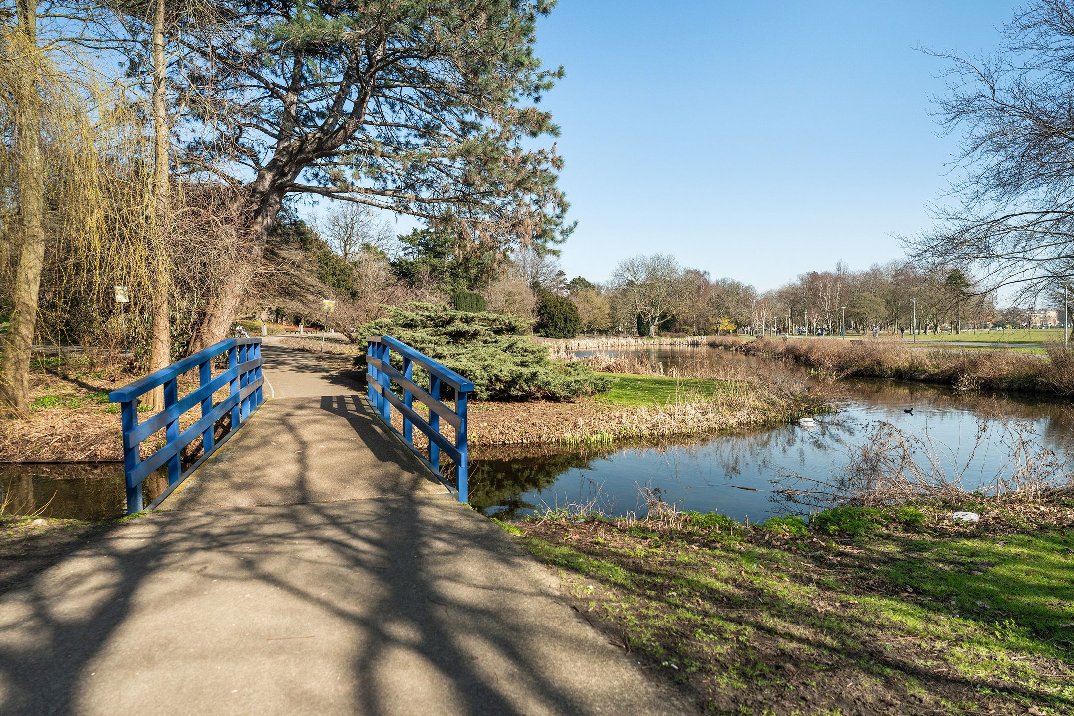 Foto 27 van Amerongenstraat 40