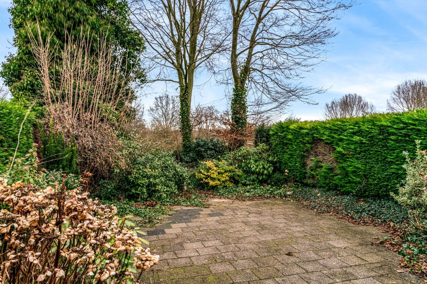 Foto 35 van Raadhuisplein 2