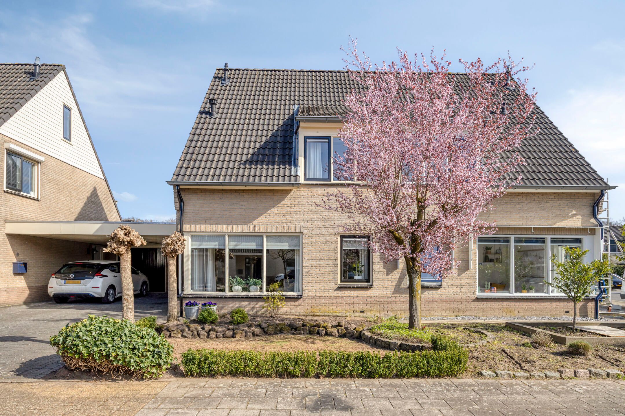 Photo 6 of Duizendblad 4