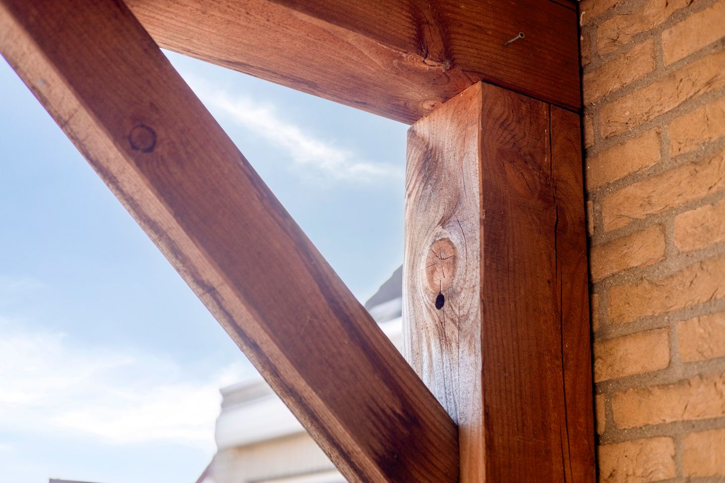 Photo 20 of Duizendblad 4