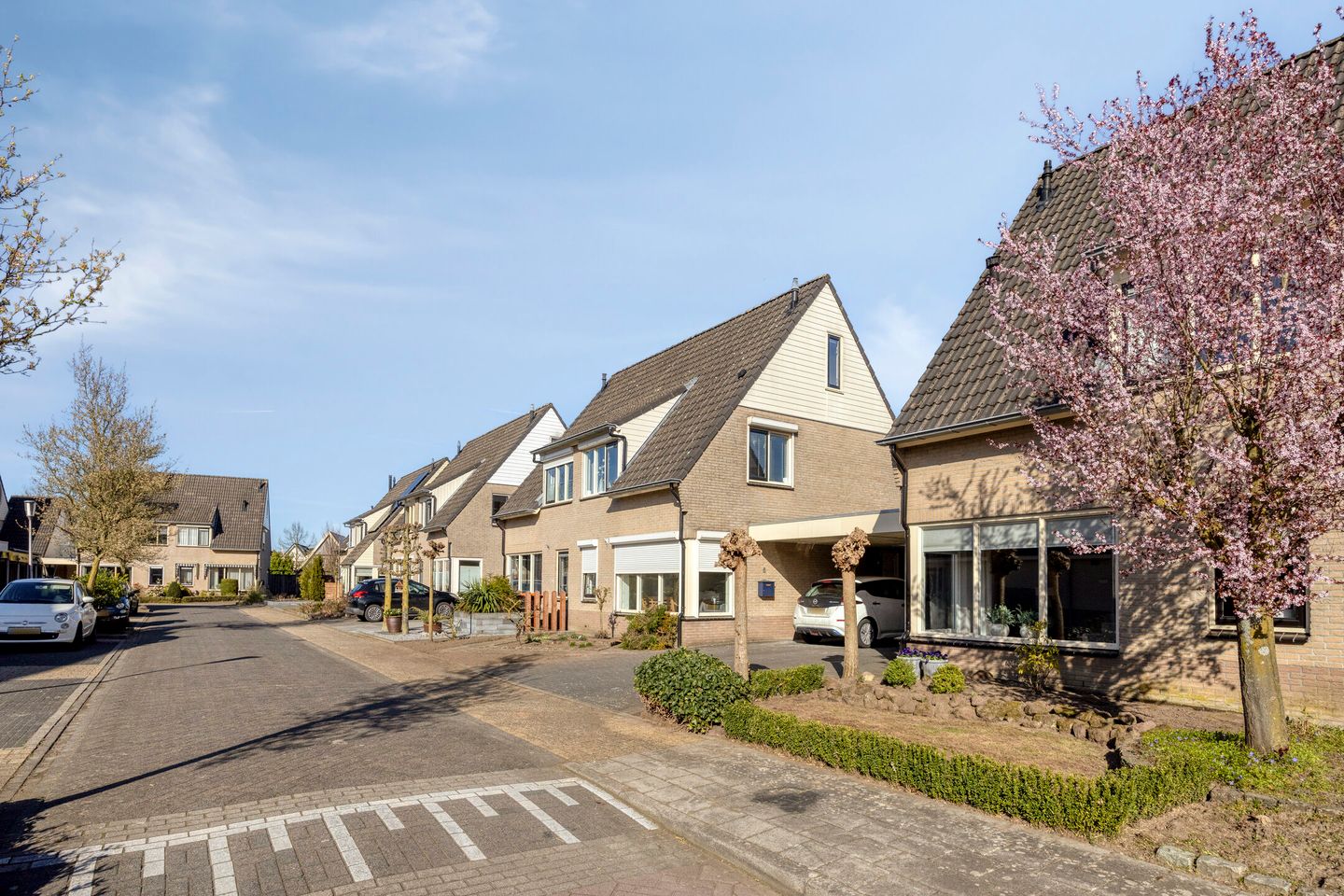 Photo 35 of Duizendblad 4