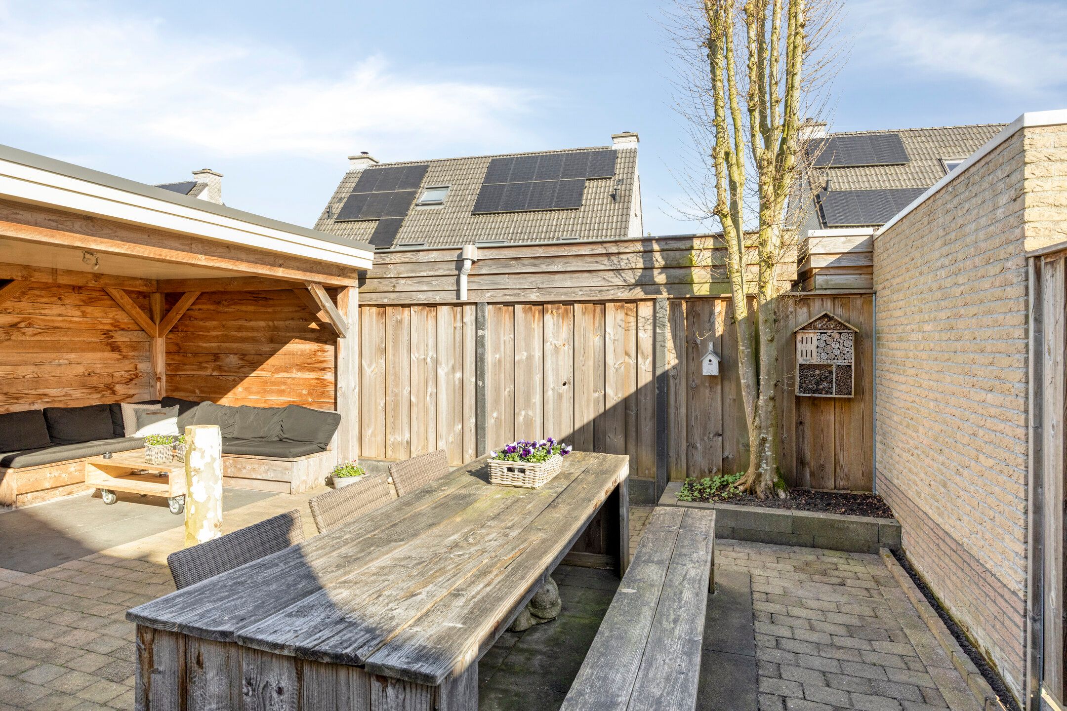 Photo 18 of Duizendblad 4