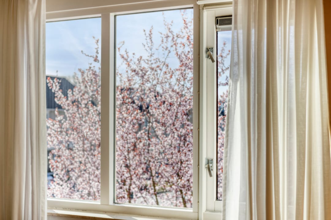 Photo 26 of Duizendblad 4