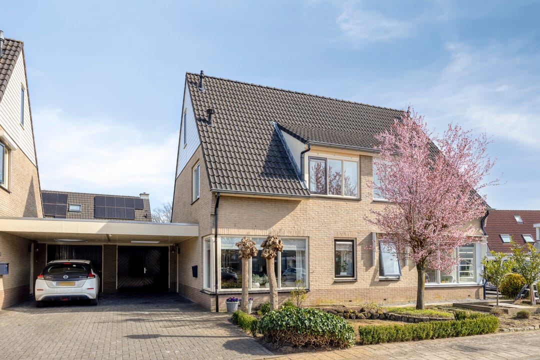 Photo 1 of Duizendblad 4