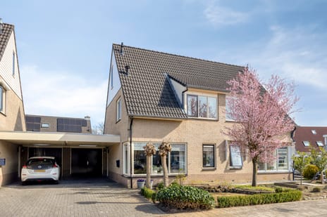 Duizendblad thumbnail