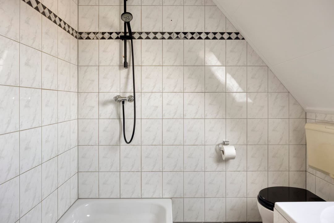 Photo 31 of Duizendblad 4