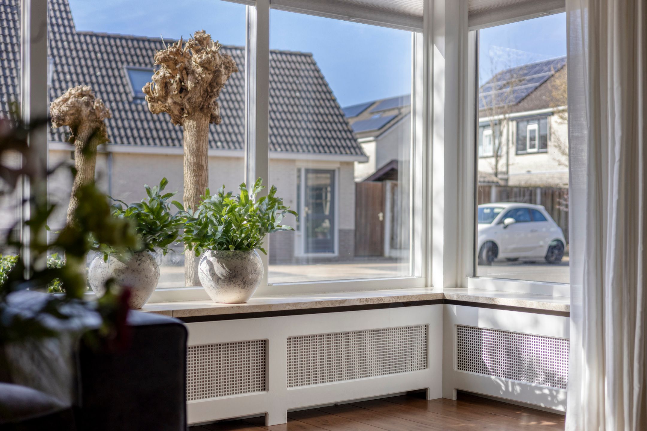 Photo 9 of Duizendblad 4