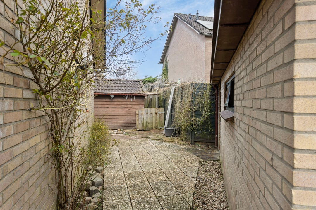 Foto 38 van Beukenlaan 5