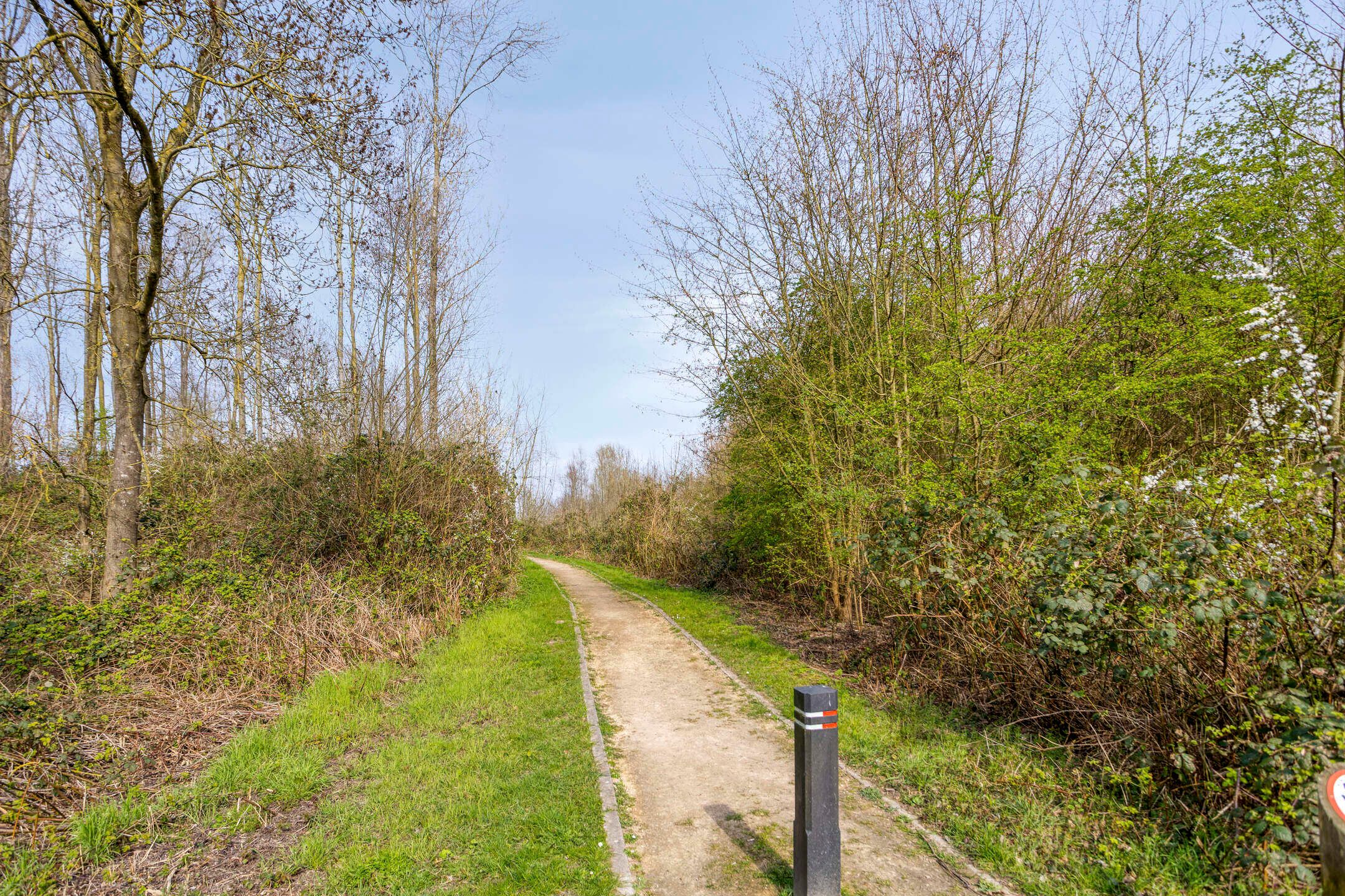 Foto 39 van Molenweg 50