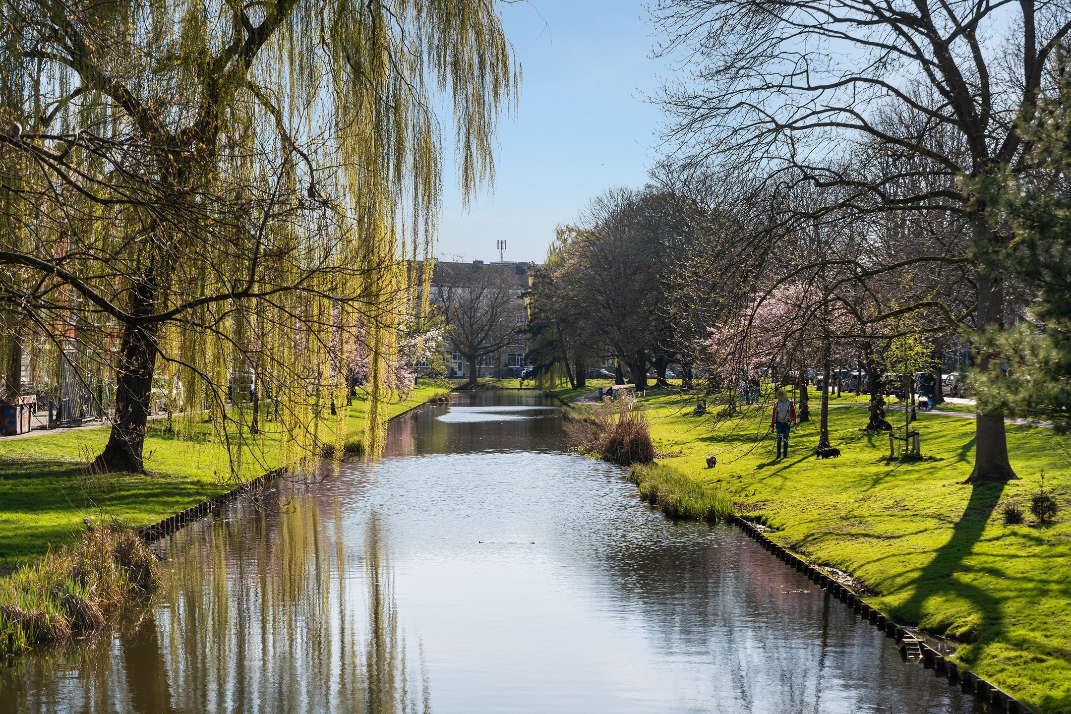 Foto 33 van Van Beuningenstraat 7-01L