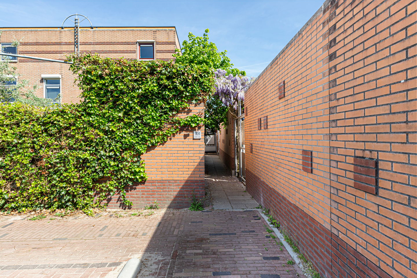 Photo 5 of Calville 101