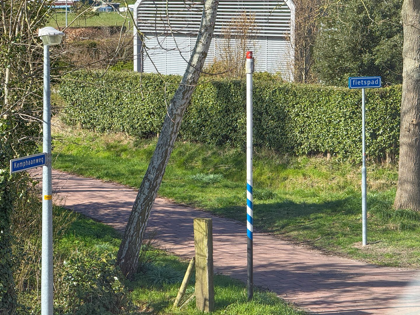 Foto 20 van Scholeksterstraat 20