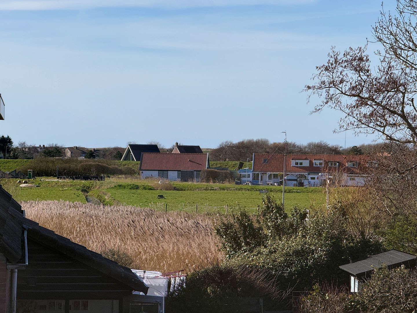 Foto 19 van Scholeksterstraat 20