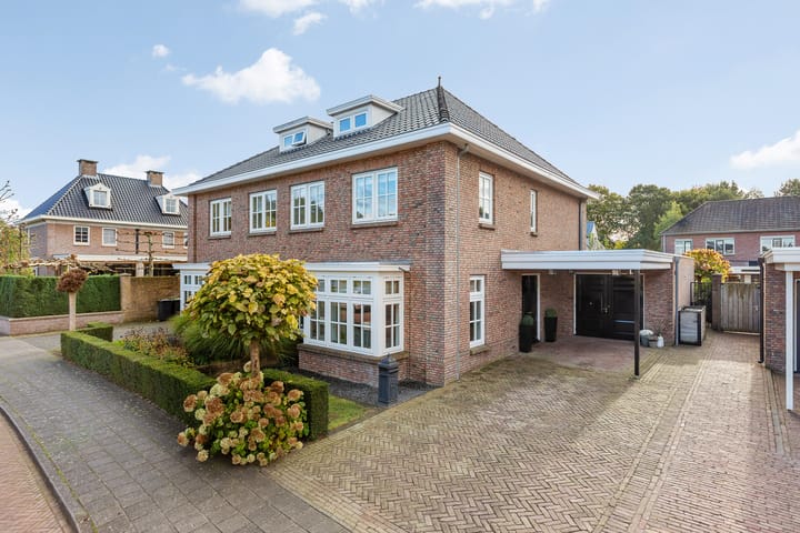 Foto 5 van Tureluur 6