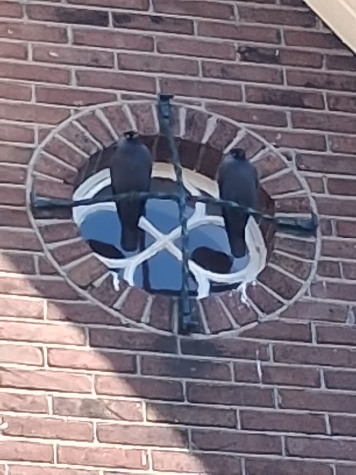 Photo 44 of Schaapsweg 40