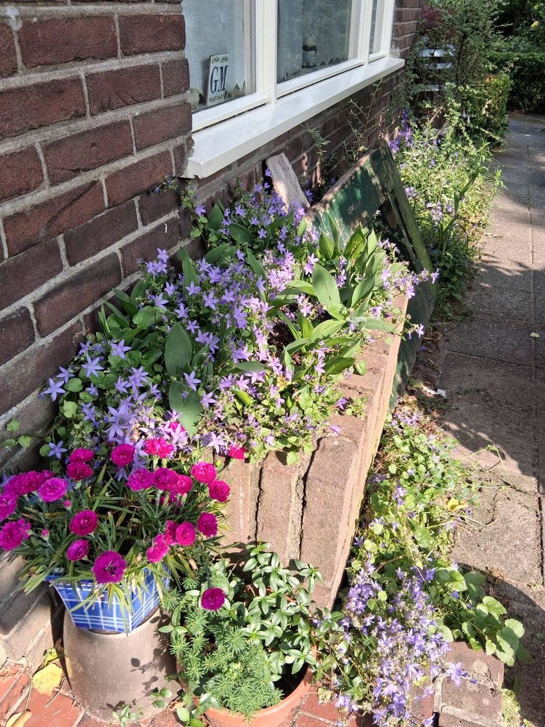 Photo 43 of Schaapsweg 40