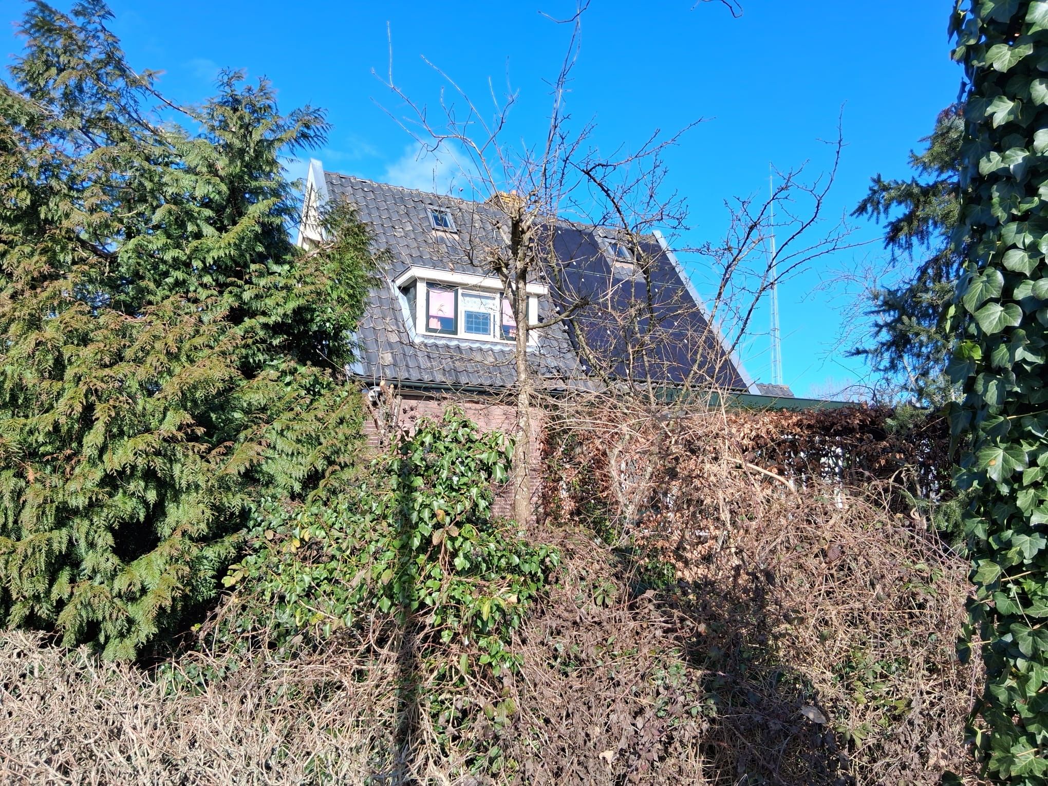 Photo 39 of Schaapsweg 40