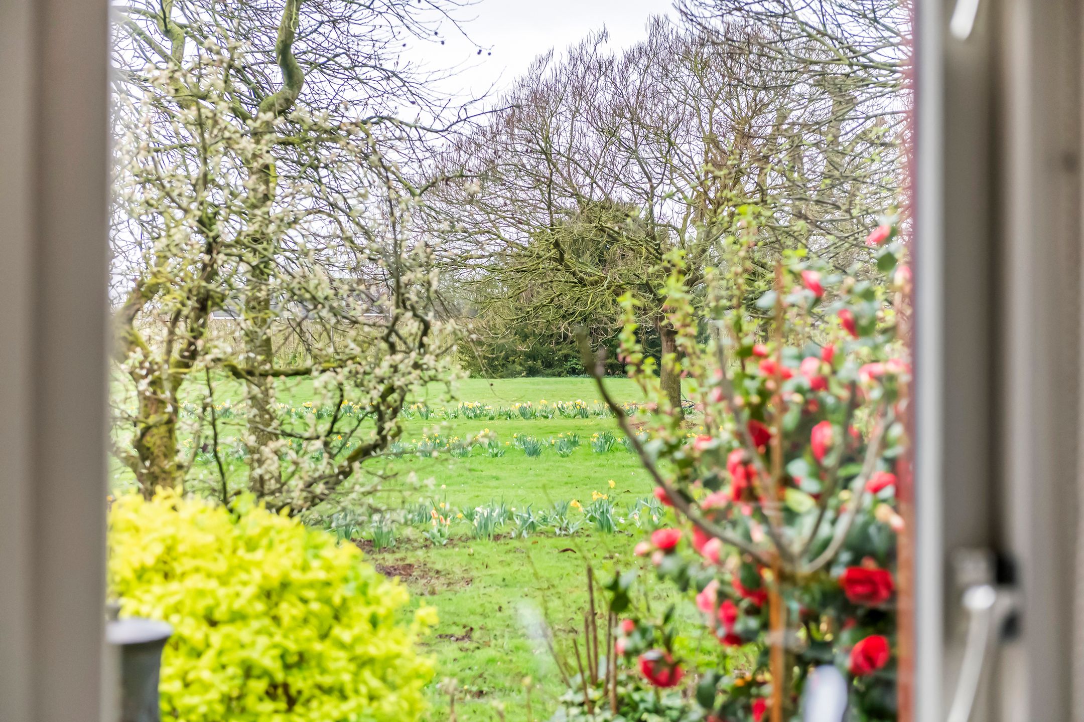 Photo 9 of Kamillekamp 47