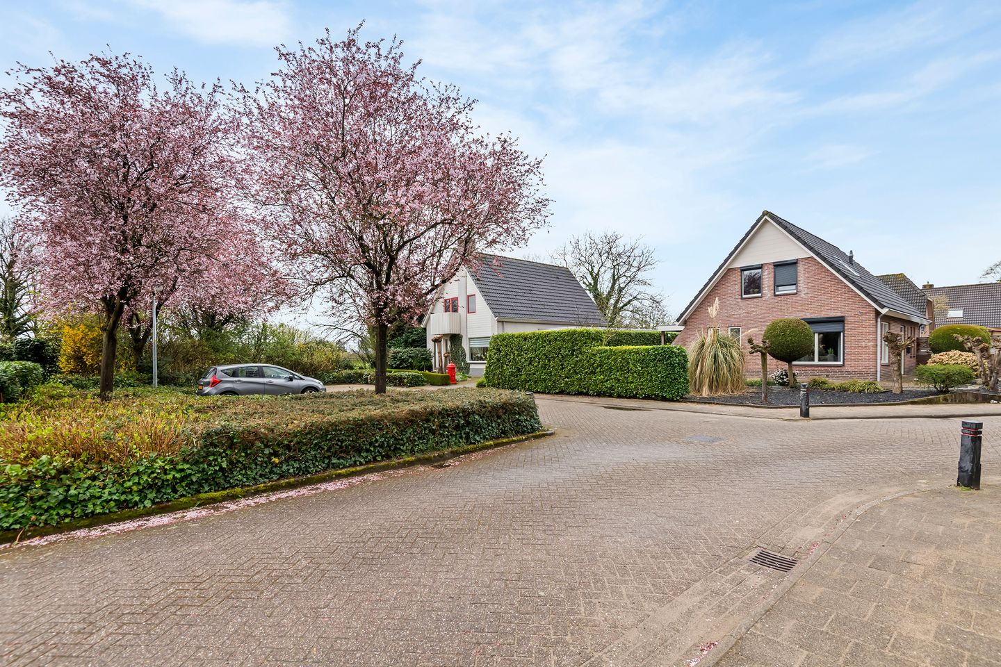 Photo 10 of Kamillekamp 47