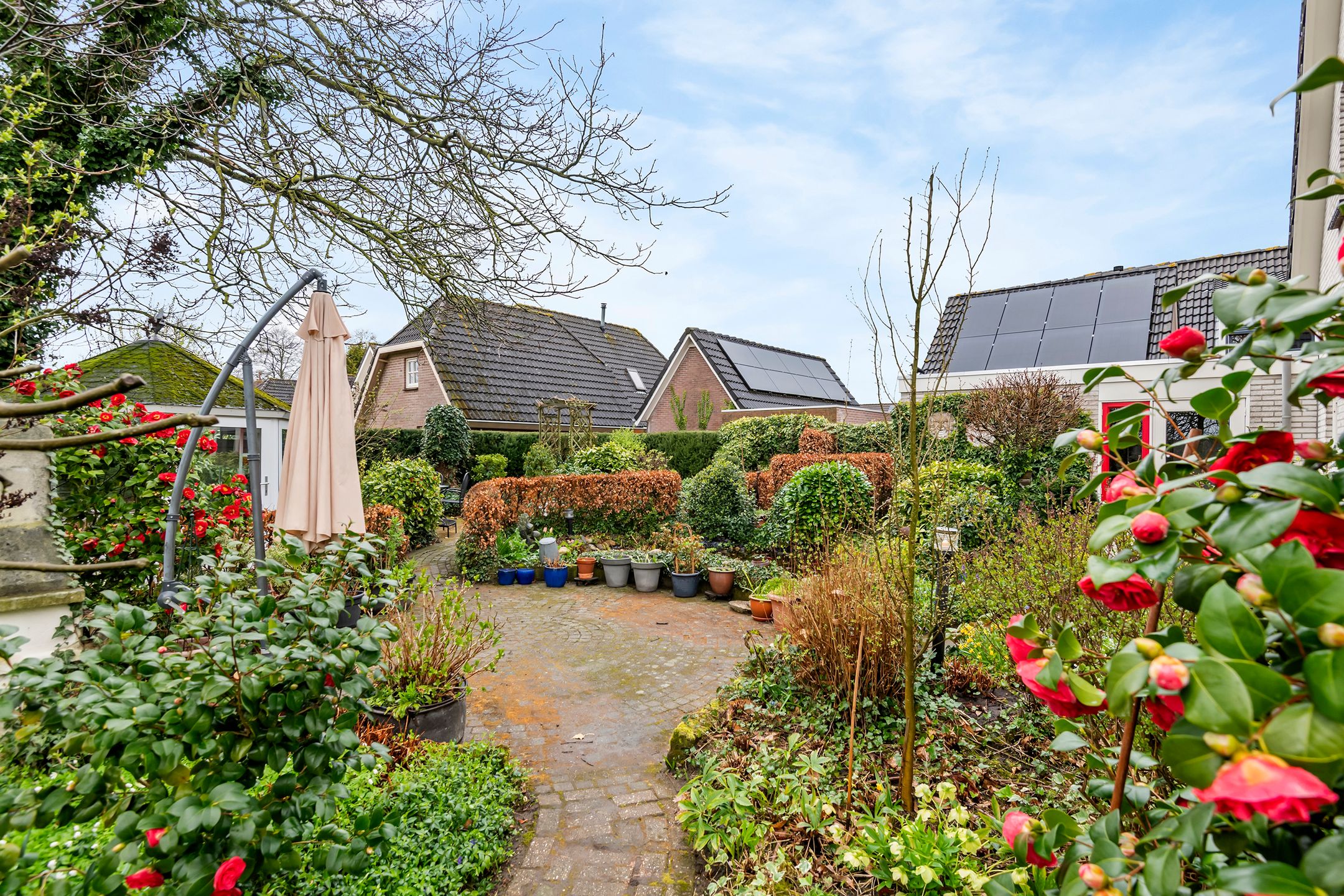 Photo 15 of Kamillekamp 47