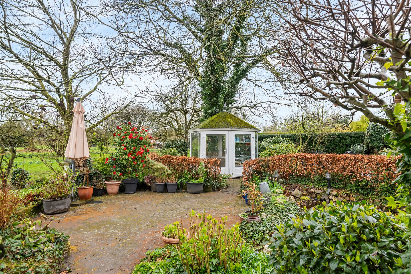 Photo 14 of Kamillekamp 47