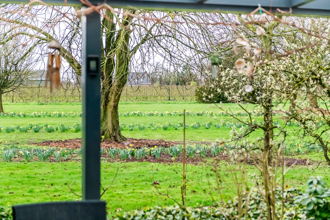 Photo 26 of Kamillekamp 47