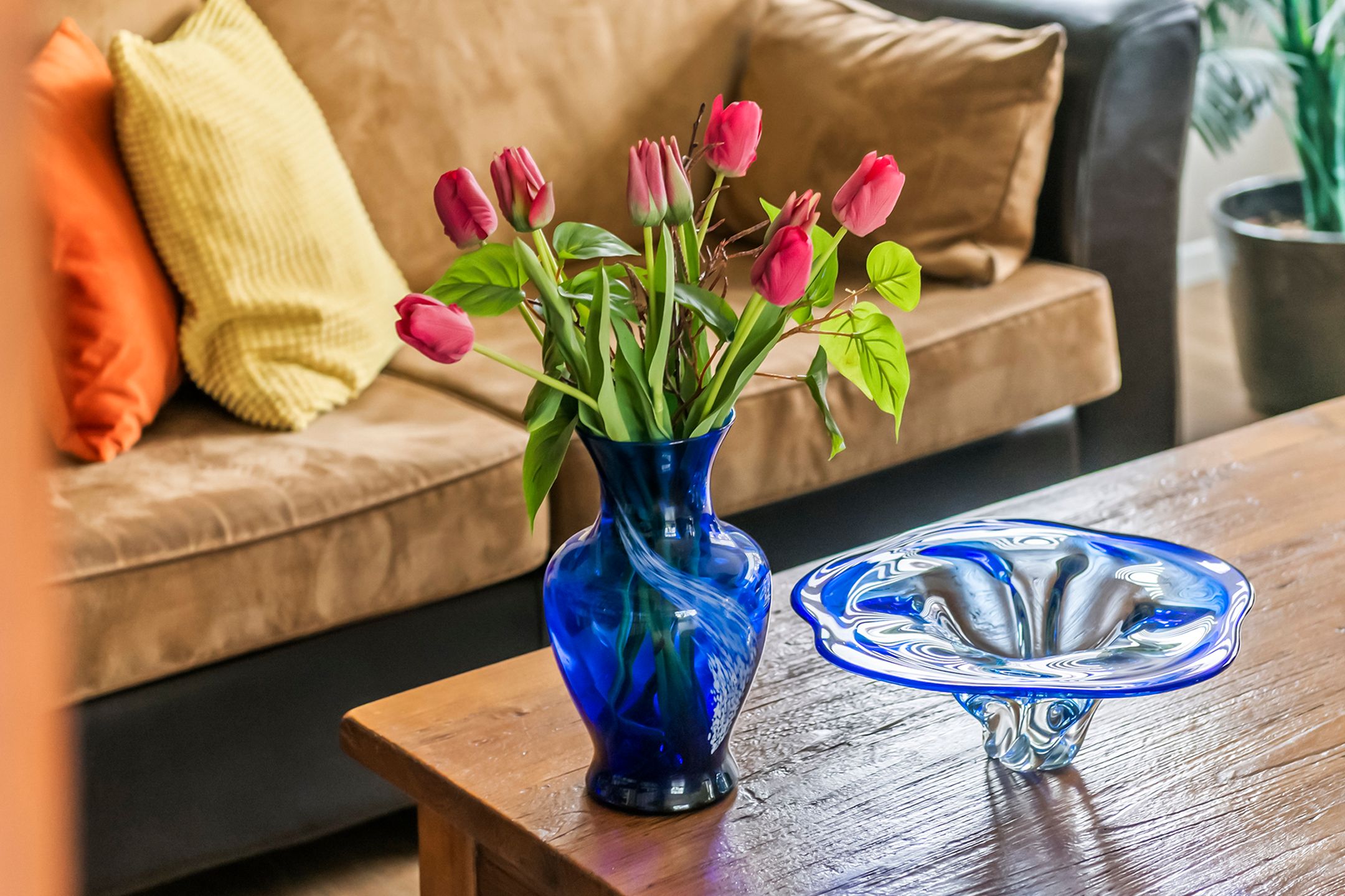 Photo 30 of Kamillekamp 47