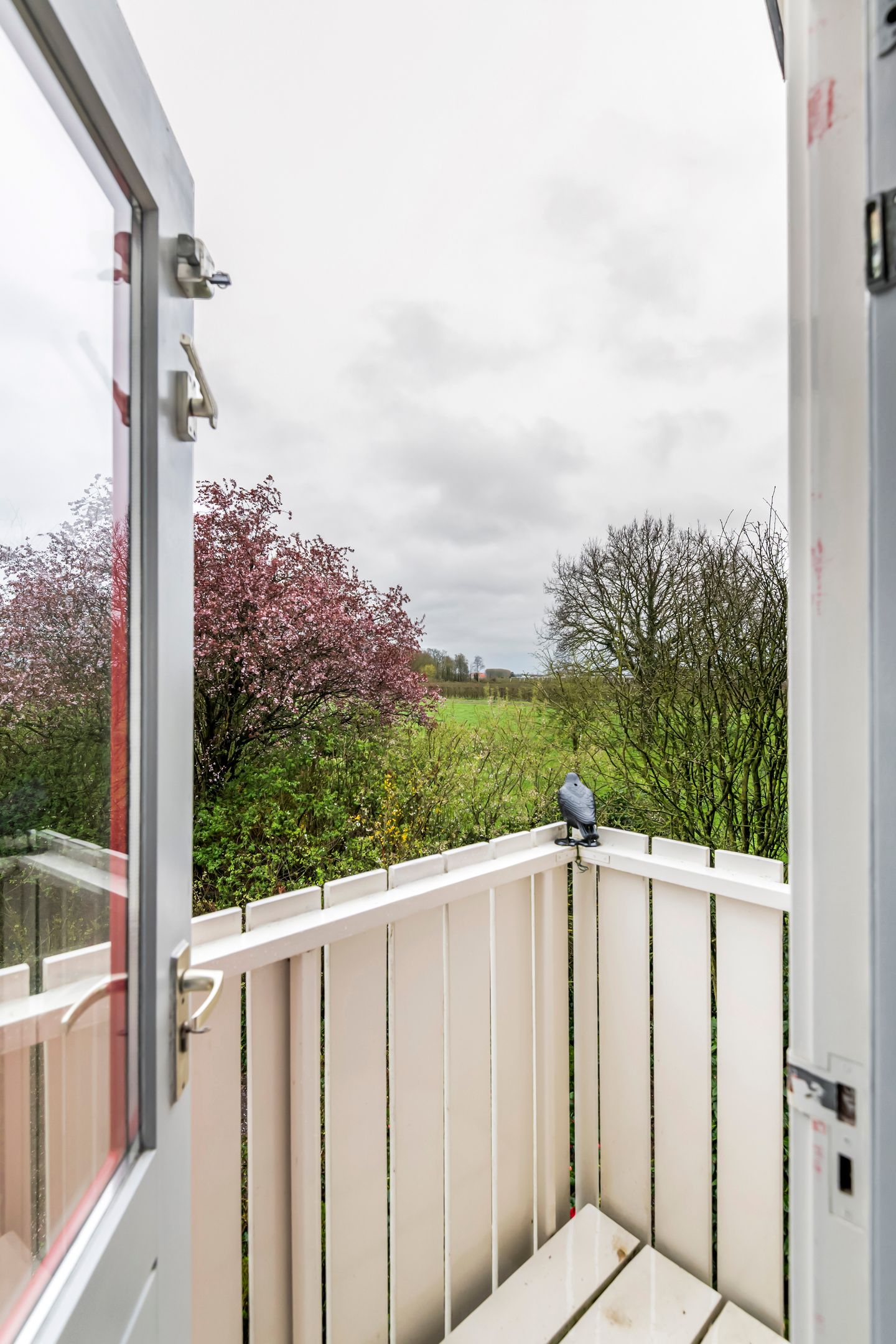 Photo 59 of Kamillekamp 47