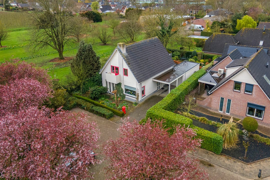 Photo 68 of Kamillekamp 47