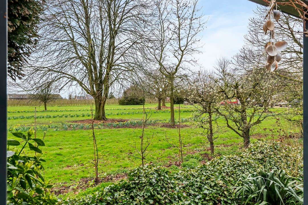 Photo 2 of Kamillekamp 47