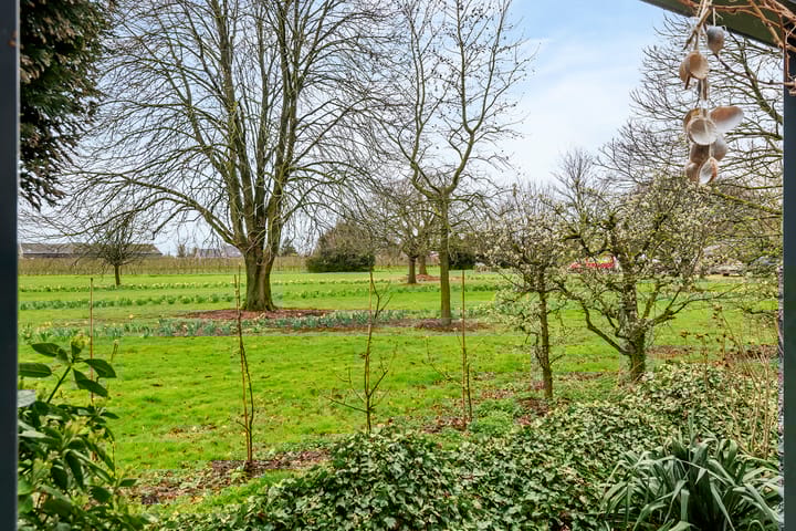 Foto 2 van Kamillekamp 47