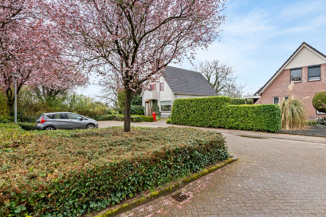 Photo 11 of Kamillekamp 47