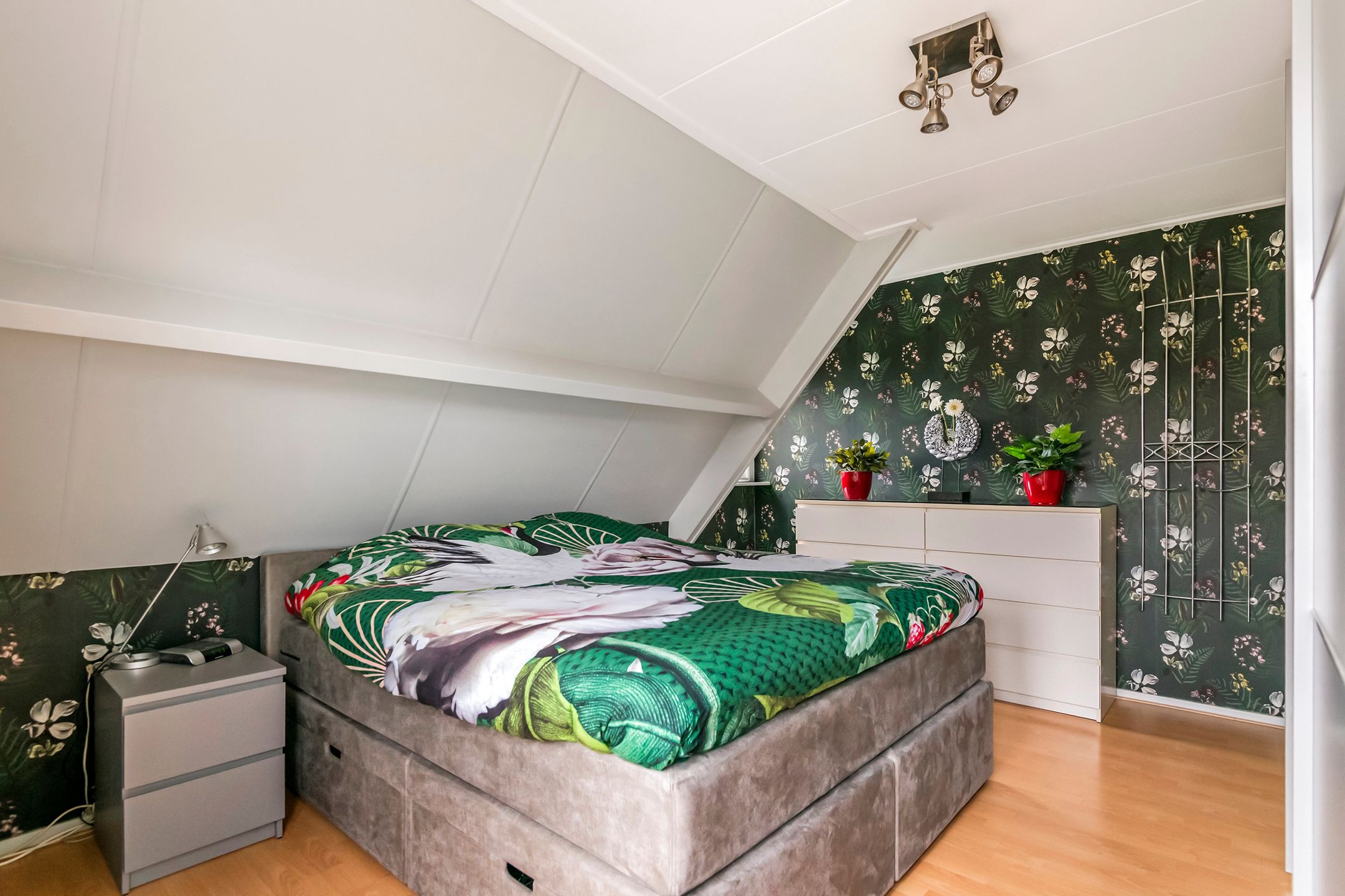 Photo 57 of Kamillekamp 47