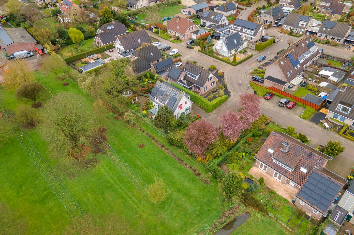 Photo 64 of Kamillekamp 47