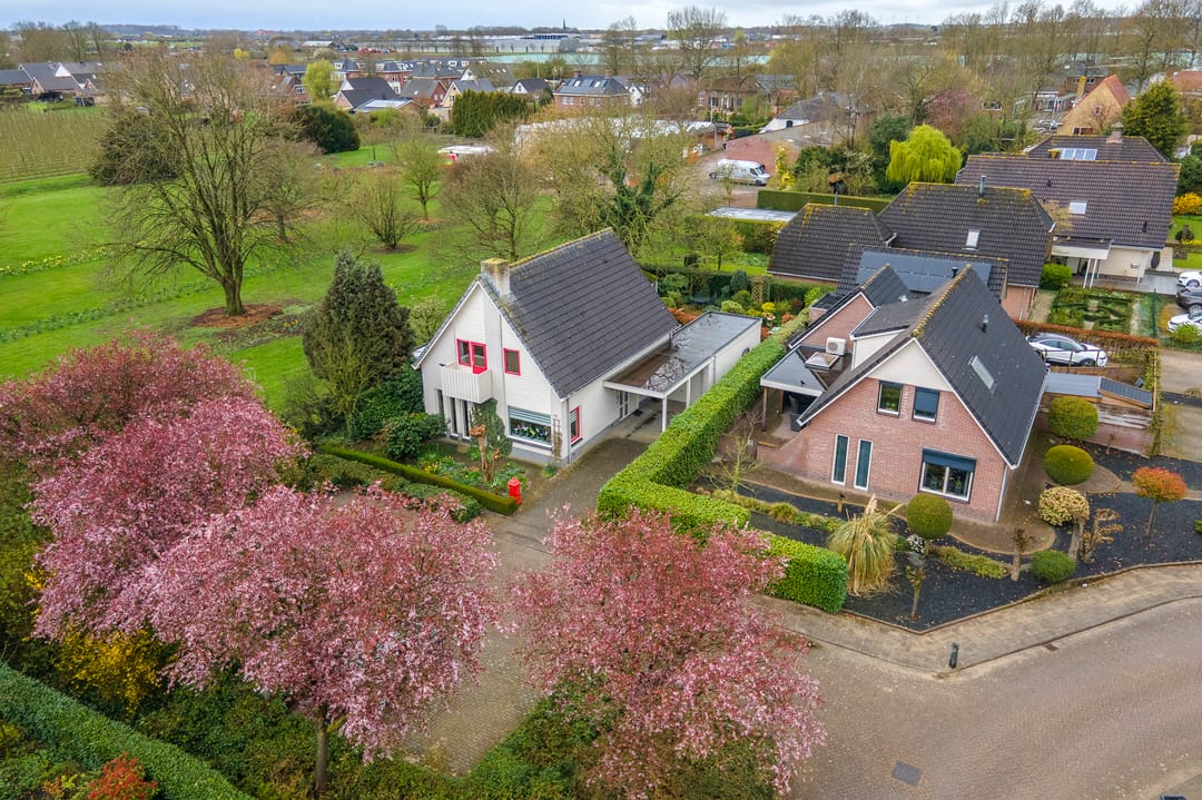 Photo 67 of Kamillekamp 47