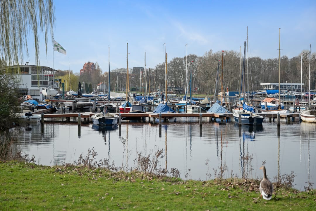 Foto 41 van Jericholaan 79