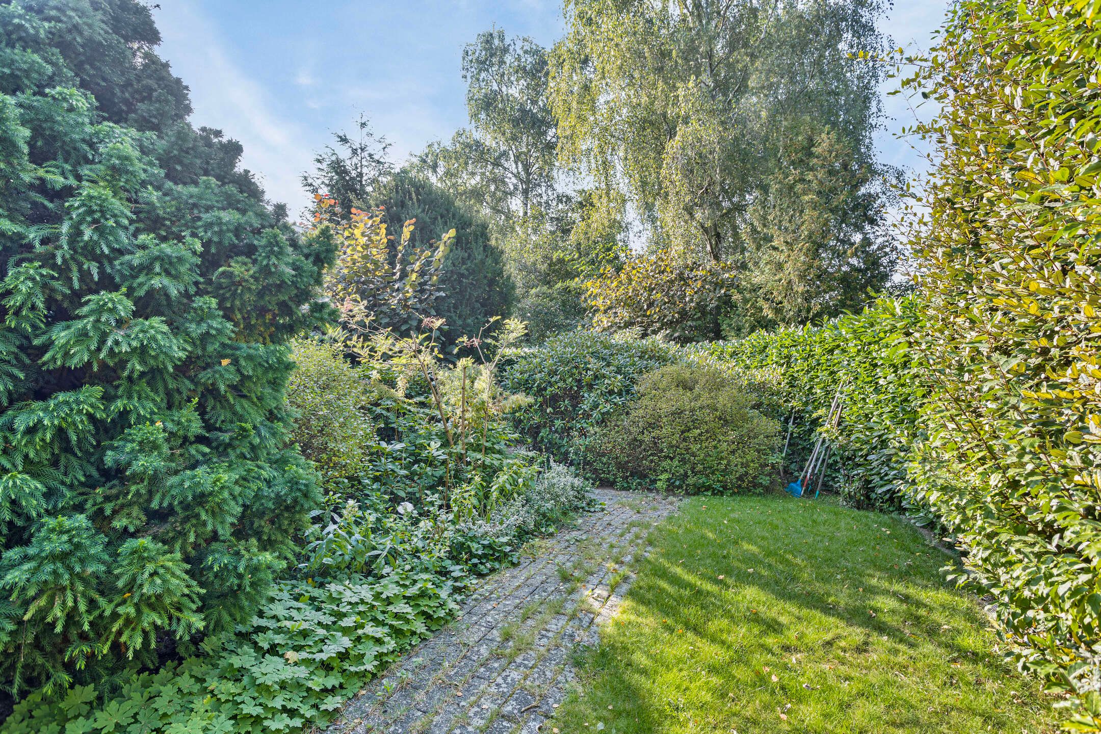 Foto 12 van Zernikelaan 8