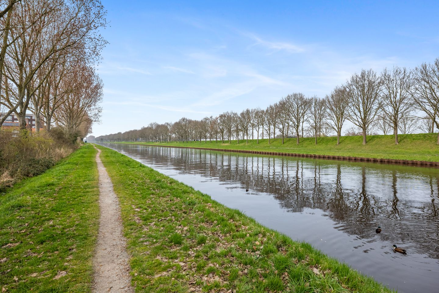 Photo 29 of Azaleastraat 5