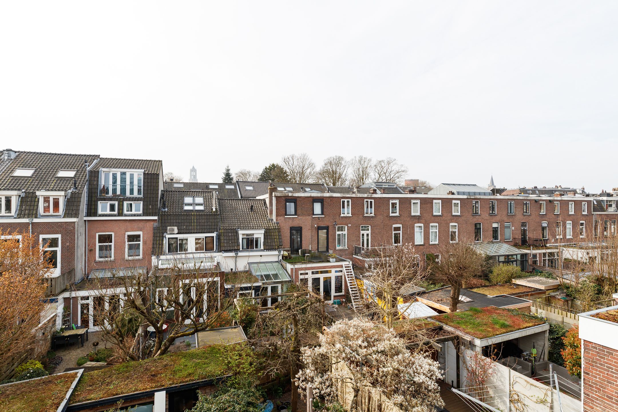 Photo 18 of Kwartelstraat 45-B