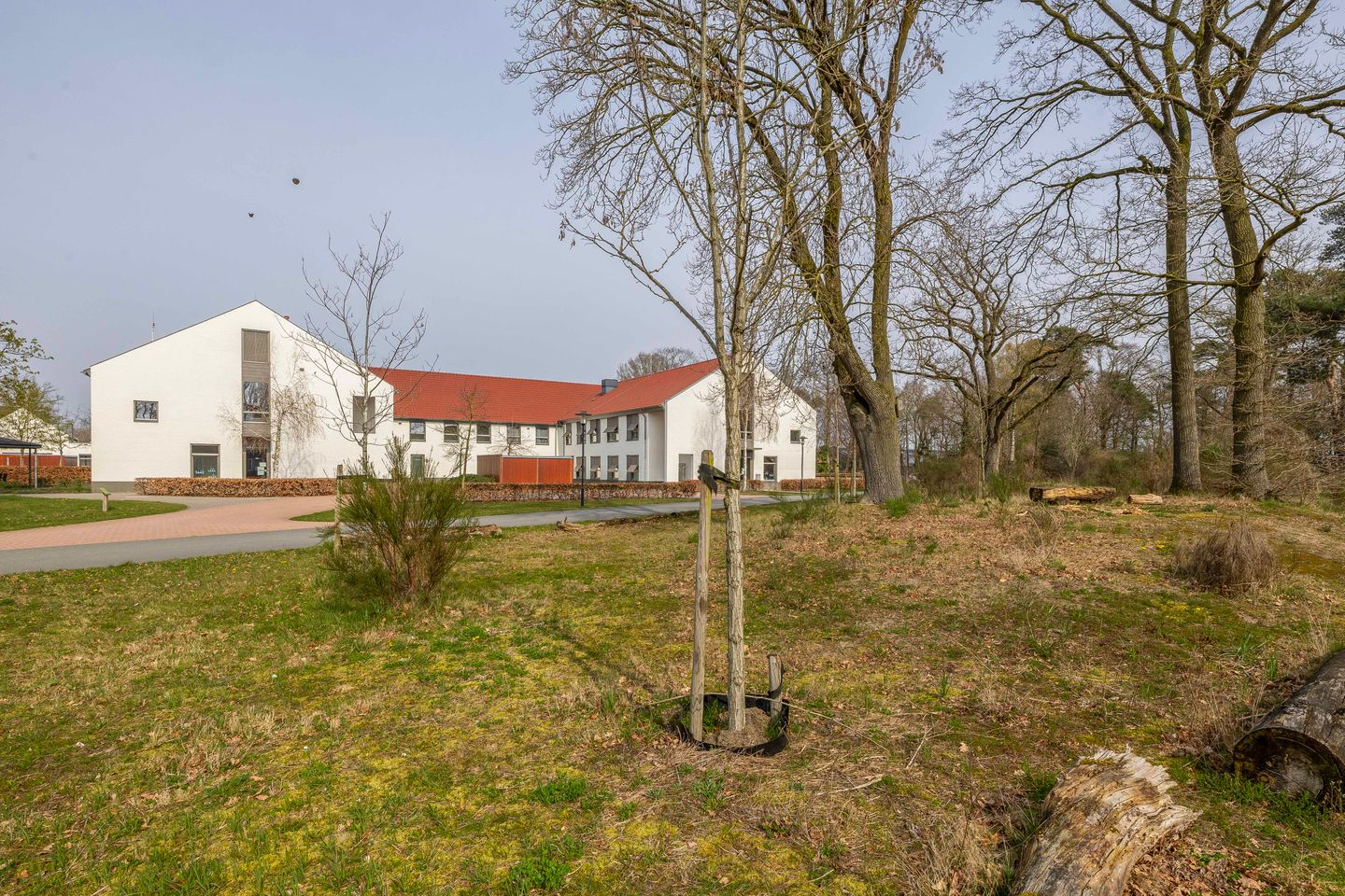 Foto 49 van Pimpelmeesstraat 10