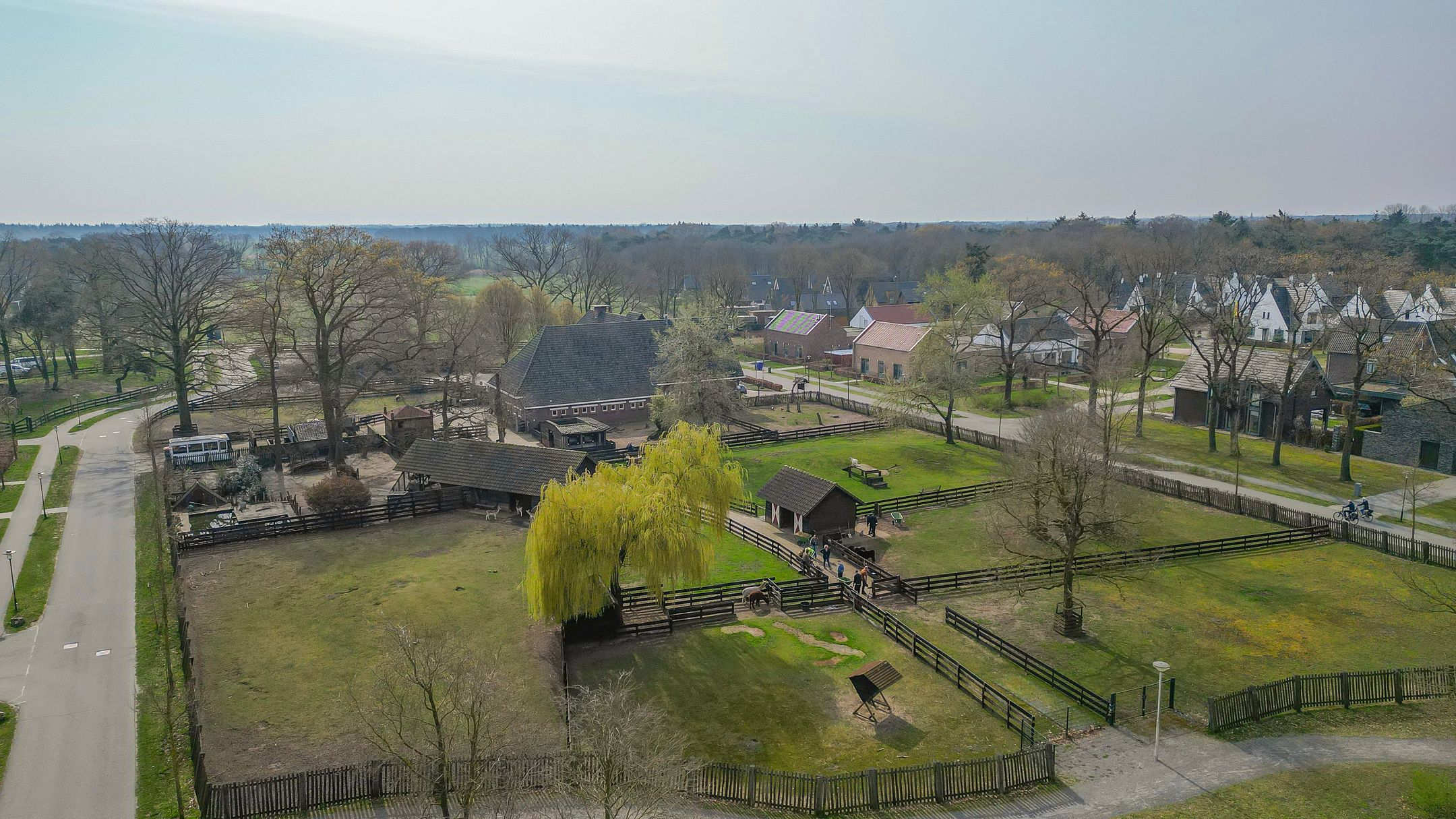 Foto 54 van Pimpelmeesstraat 10