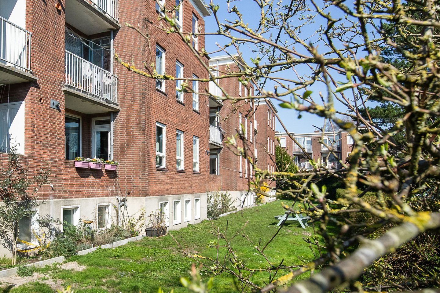 Foto 1 van Plesmanlaan 26