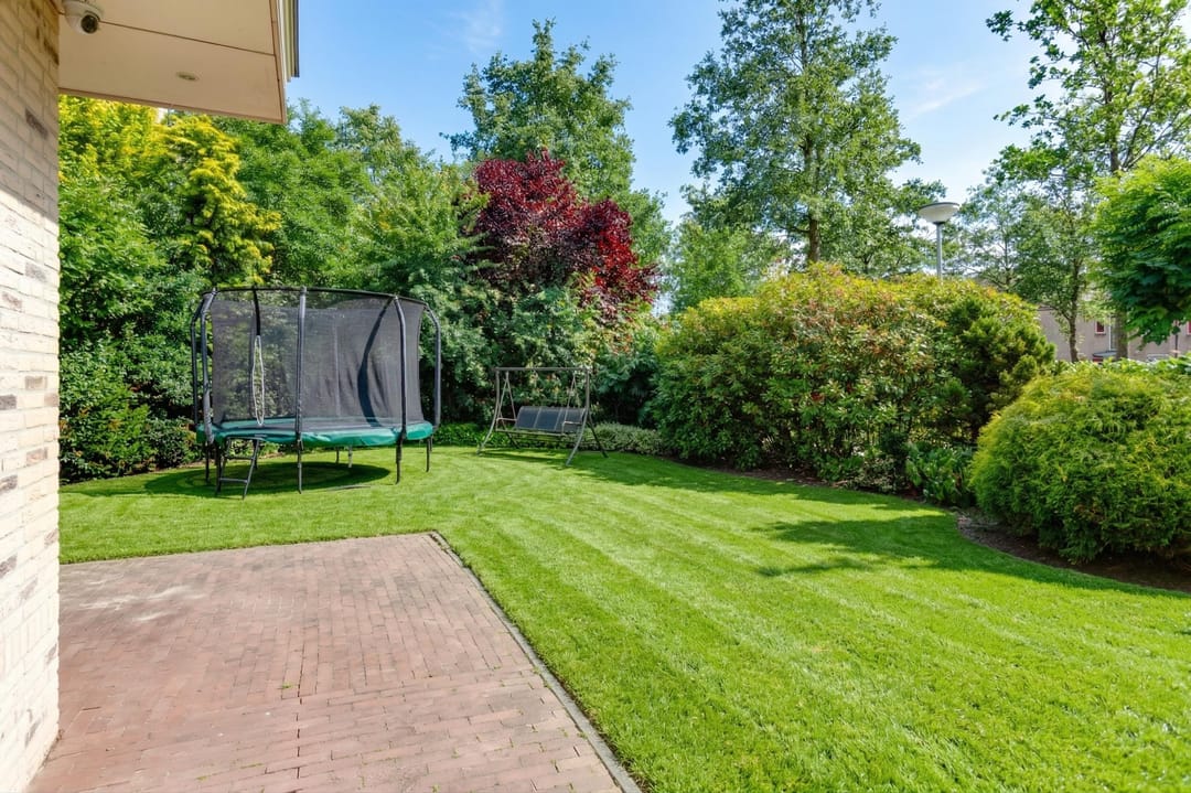 Foto 38 van Agaatvlinder 34